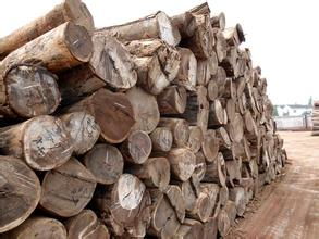 深圳木材進口報關(guān)公司圖片,深圳木材進口報關(guān)公司高清圖片 洽源木材進口報關(guān)報檢代理公司,