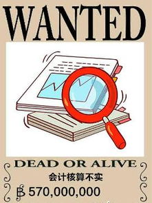 會(huì)計(jì)核算 會(huì)計(jì)工作的核心與基石